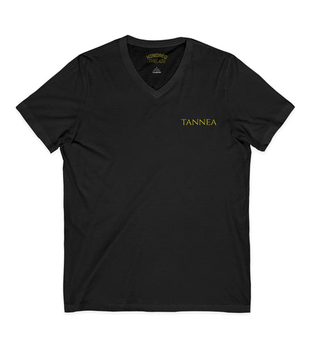 Unisex Jersey Short Sleeve V-Neck Tee